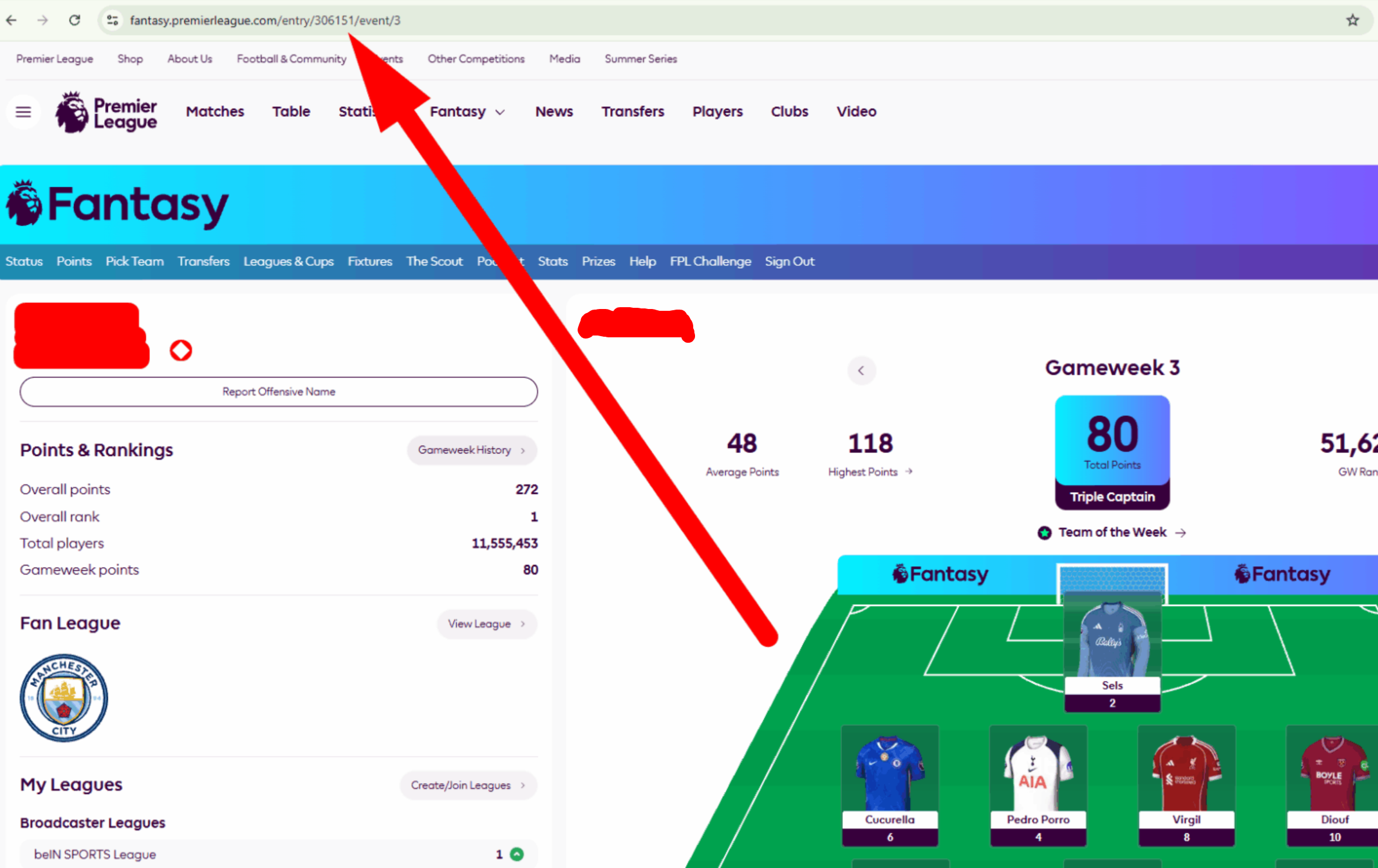 How to find your FPL Team ID - it's in the URL on the Fantasy Premier League website
